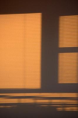 Shadows on the Wall