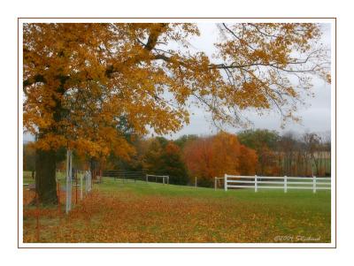 Rural Autumn