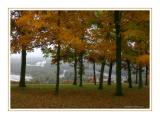 Autumn at Pikes Peak State park