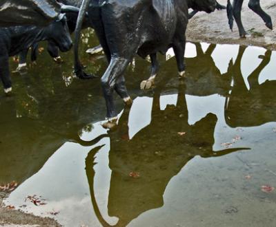 u6/stetsa/medium/35349978.cattlememorial.jpg