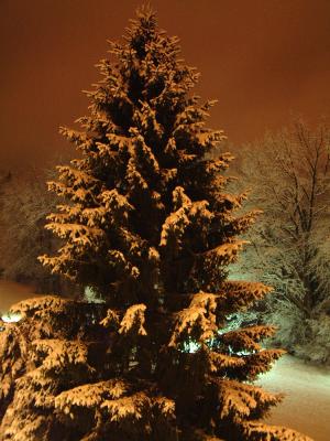 Night_snow3.jpg