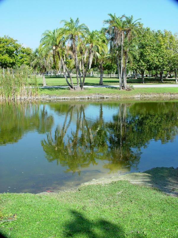 Sunday reflections