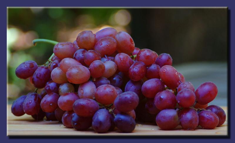 <B>Grapes</B><BR><FONT size=2>by Faye White</FONT>