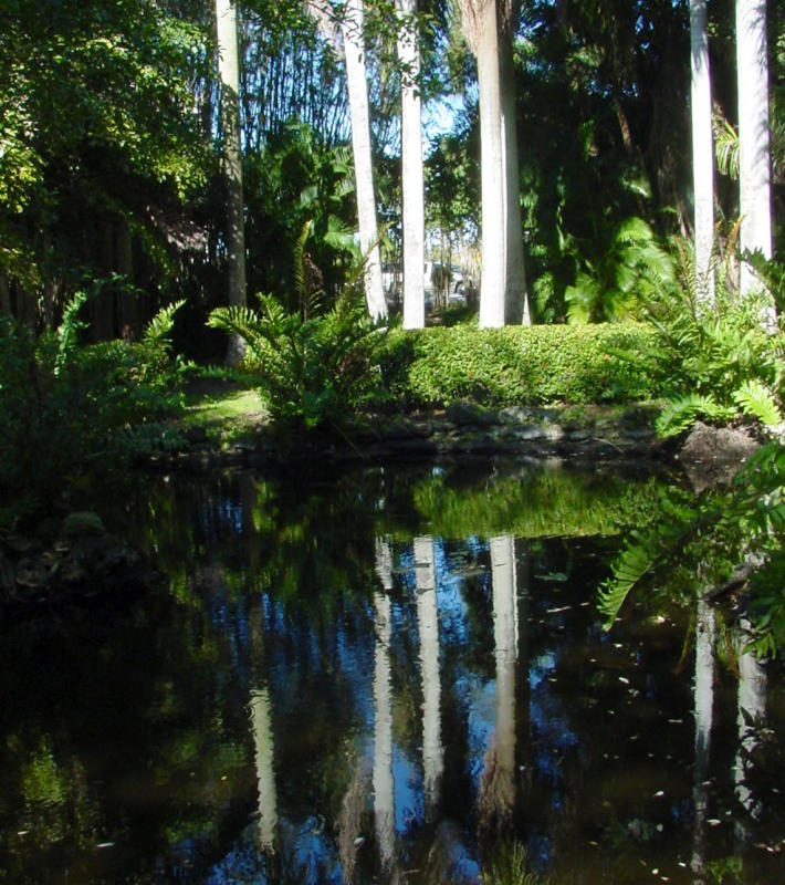 Palm Island by Homer