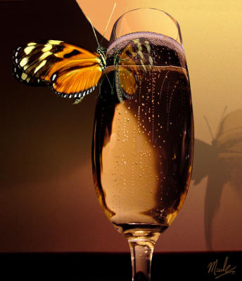 8th Place...Champagne and butterfly by Mark Janeck