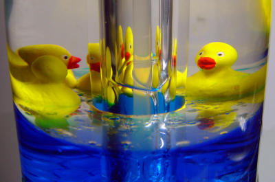 Little Rubber Duckies by Dee Golden