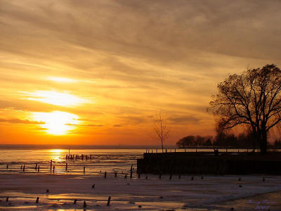 Lake St. Clair 1/22/02 Kerry Pierce Sony CD1000