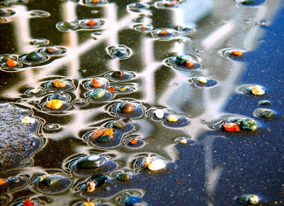  9th PLACE Pebbles In A Puddle Of Bandshell phtgraphd by Shutter