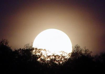 MoonRise6by Rick Webb