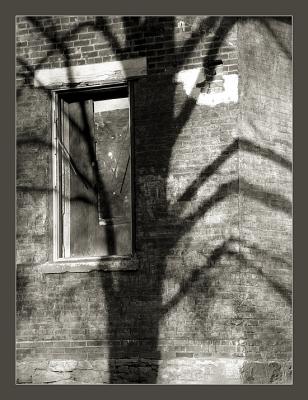 Haunting The Houseby MFC ( for fun only- not for voting )