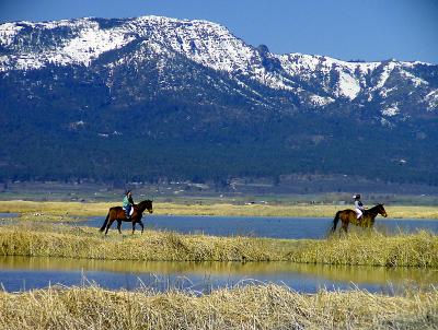 Only about 3 miles distant, one of our favorite places to go recreate as a family is the Honey Lake wildlife refuge.  Between hunting season and mosquito season, the refuge offers a wonderful opportunity to get away from vehicles and people; to walk and enjoy the beautiful scenery and the abundant wildlife.  Today was no exception, as we took our horses on a little outing to enjoy the sunshine and the scenery.