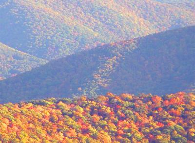 Allegheny Light