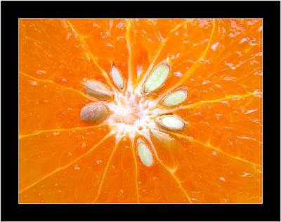 Orange Centralby MFC