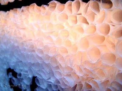 Made of paper by ZoomBoy