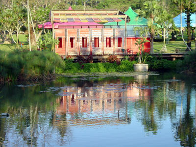 Late Afternoon at the SE Botanical Gardens by Helen Betts