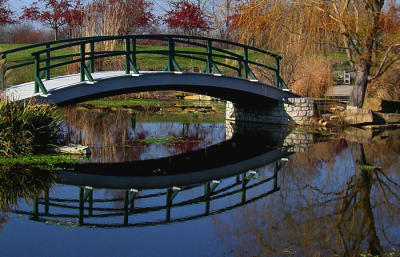 The Bridge by Terryd