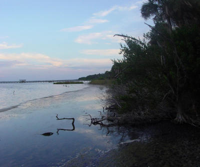 Ron's Swamp2c