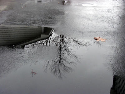 Puddle by Koo22