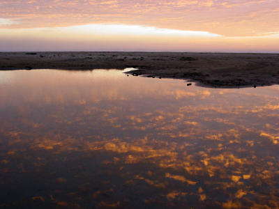 Water on Fire - John T