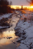 Ducks at Dawn