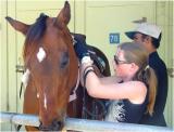 “So how is my favorite horse doing today?” Krissy asked me. She gave me two sugar lumps as always. I really like Krissy because she always gives me sugar lumps, rides me around a lot, and never neglects me! She started to put on my saddle and adjusted my bit. She put me back in my stall and went to go eat lunch.
So after about an hour or so, Krissy came back to ride me over jumps. I was very excited I moved around a lot while she was trying to get on me. Krissy was getting very, very, very mad. It looked as if she was about to have steam coming out of her ears.