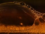 Bubbles Study<br>by JoseNoway