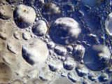 <p align=right><b>BubbleSky</b><br><i><font size=1> photographed by </font >JLN</i></font></p>