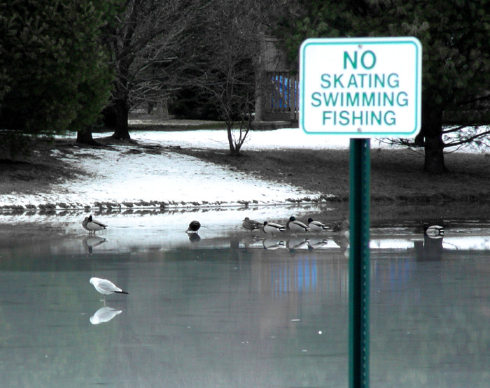 <B>Except for Fowl</B><BR><FONT SIZE=1>(by SFishy)</FONT><BR>
