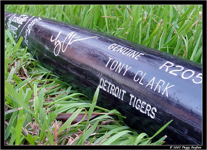 Louisville Slugger by Peggy