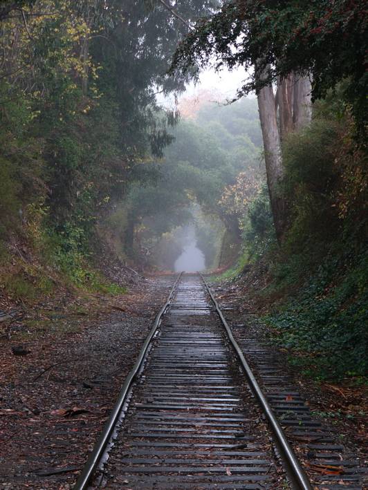 Down The Line