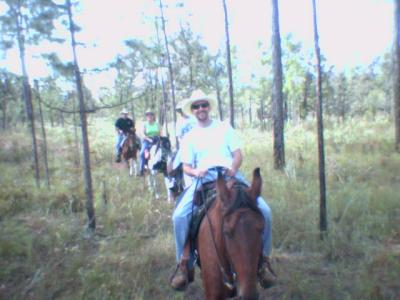 save a horse