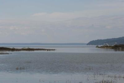 10-20 hi tide 0703.jpg