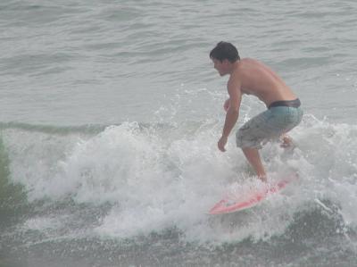 P1010036a.jpg