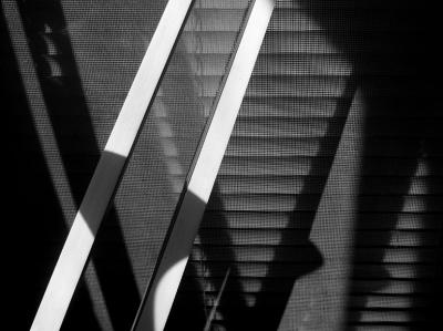 indifferentcrossings8437msmall.jpg