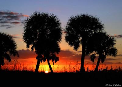 St. Petersburg sunset