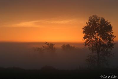 Minnesota sunrise - Carlos Avery WMA