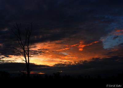 Minnesota sunrise - Carlos Avery WMA