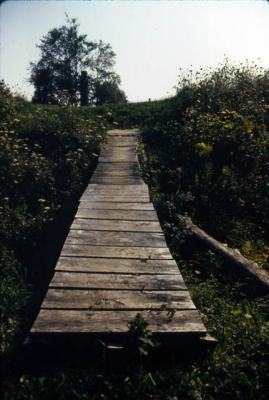 slide030_web.jpg