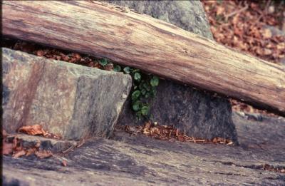 slide036_web.jpg