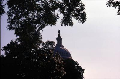 slide043_web.jpg