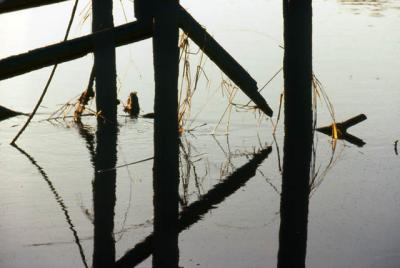 slide070_web.jpg
