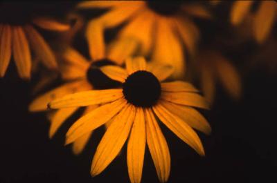 slide098_web.jpg
