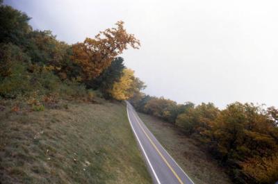 slide191_web.jpg
