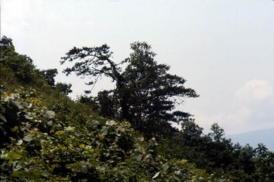 slide208_web.jpg