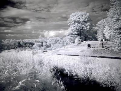DSC04241_ir_web.jpg