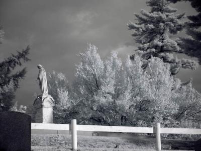 DSC04242_ir_web.jpg