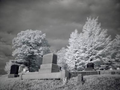 DSC04244_ir_web.jpg