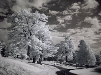 DSC04245_ir_web.jpg