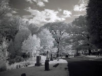 DSC04247_ir_web.jpg