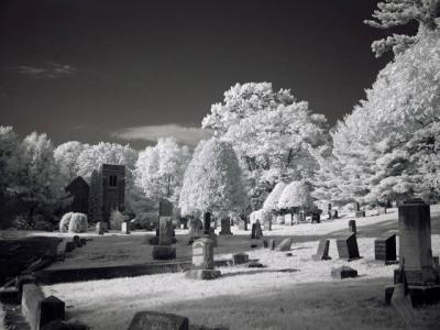 DSC04252_ir_web.jpg
